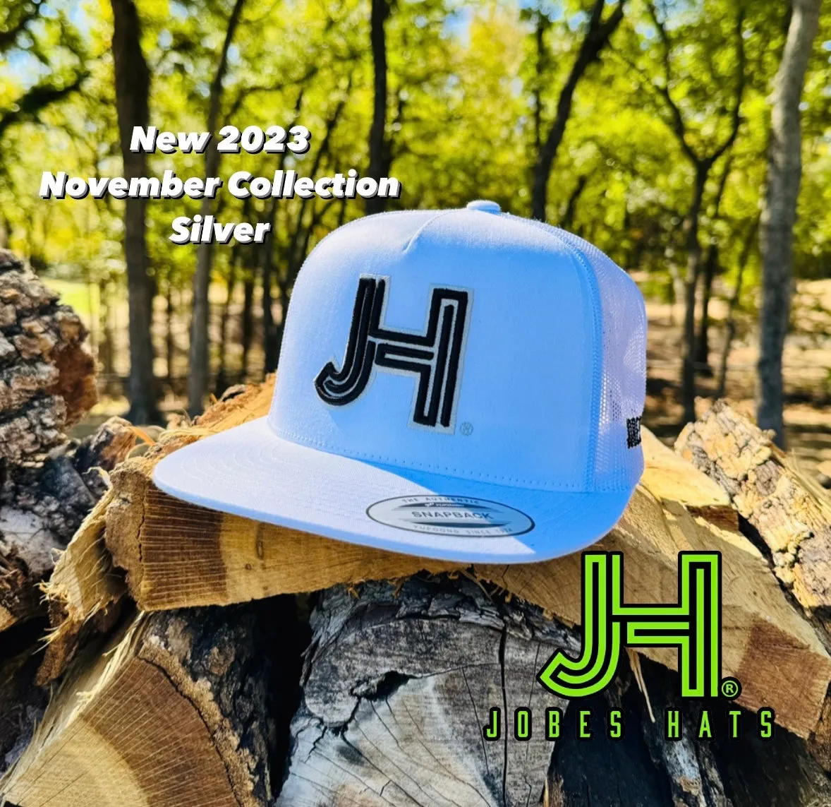 2023 November Collection Silver Jobes Cap-  All White black 3D JH