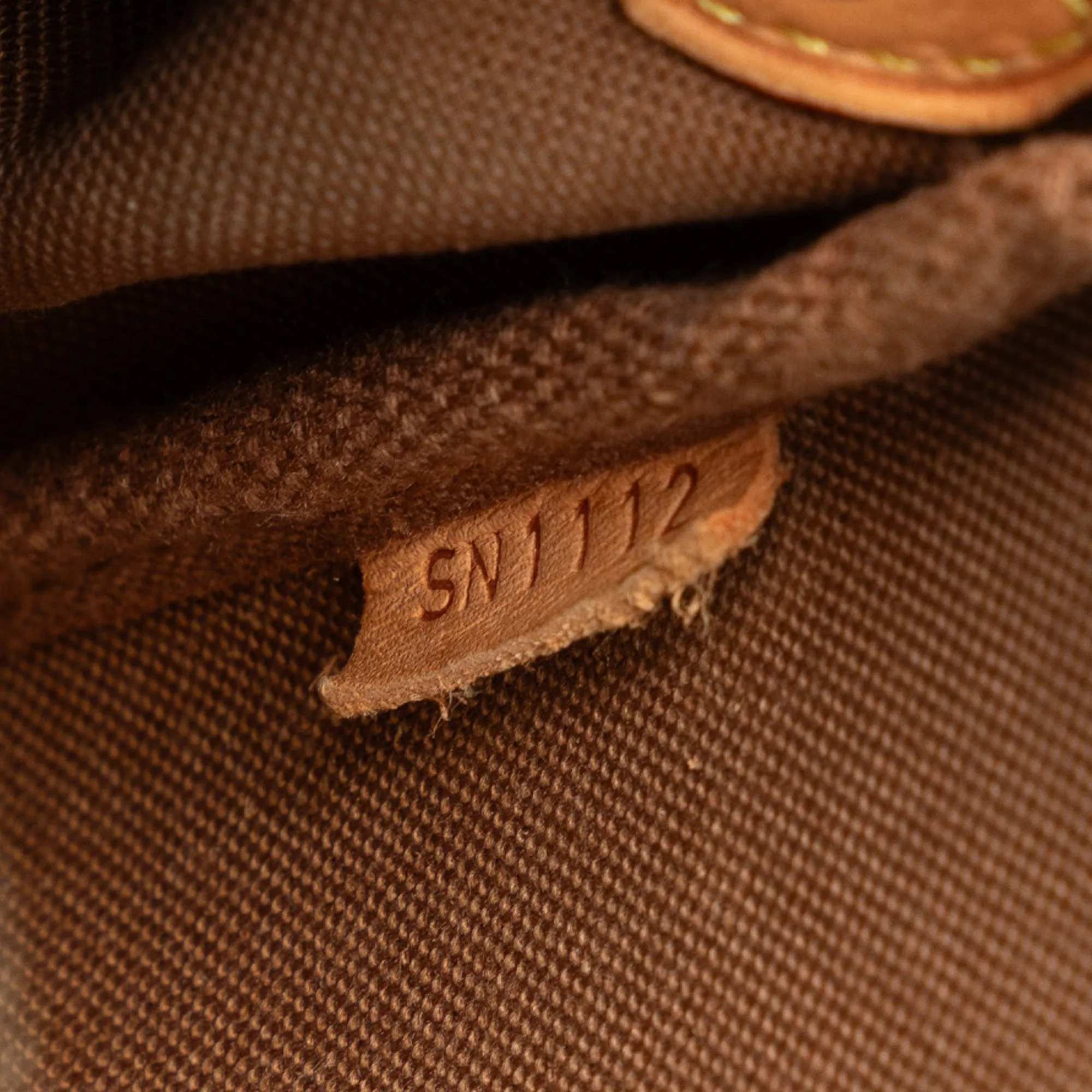 Brown Louis Vuitton Monogram Eva Satchel