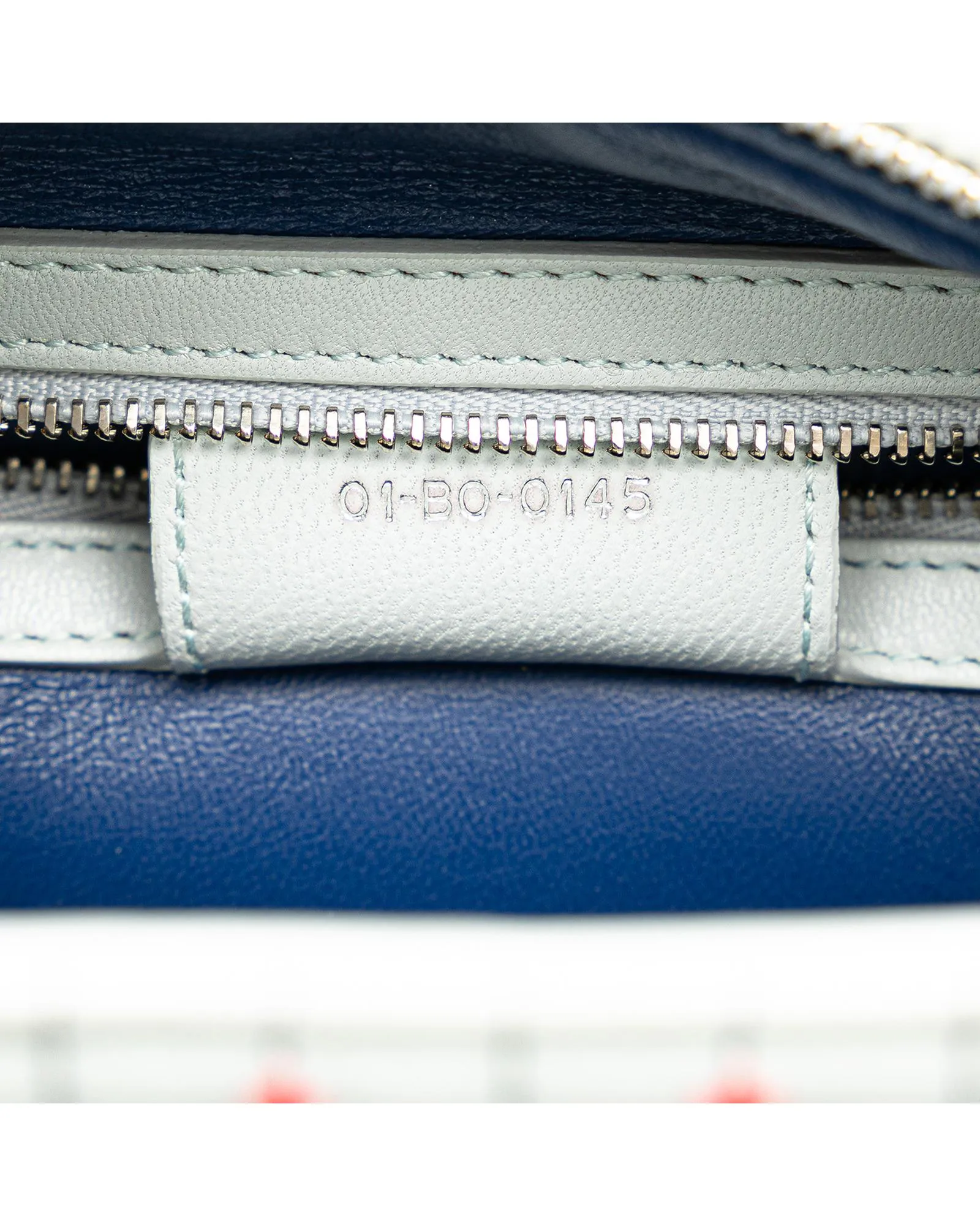 Embroidered Leather Lady Dior Satchel