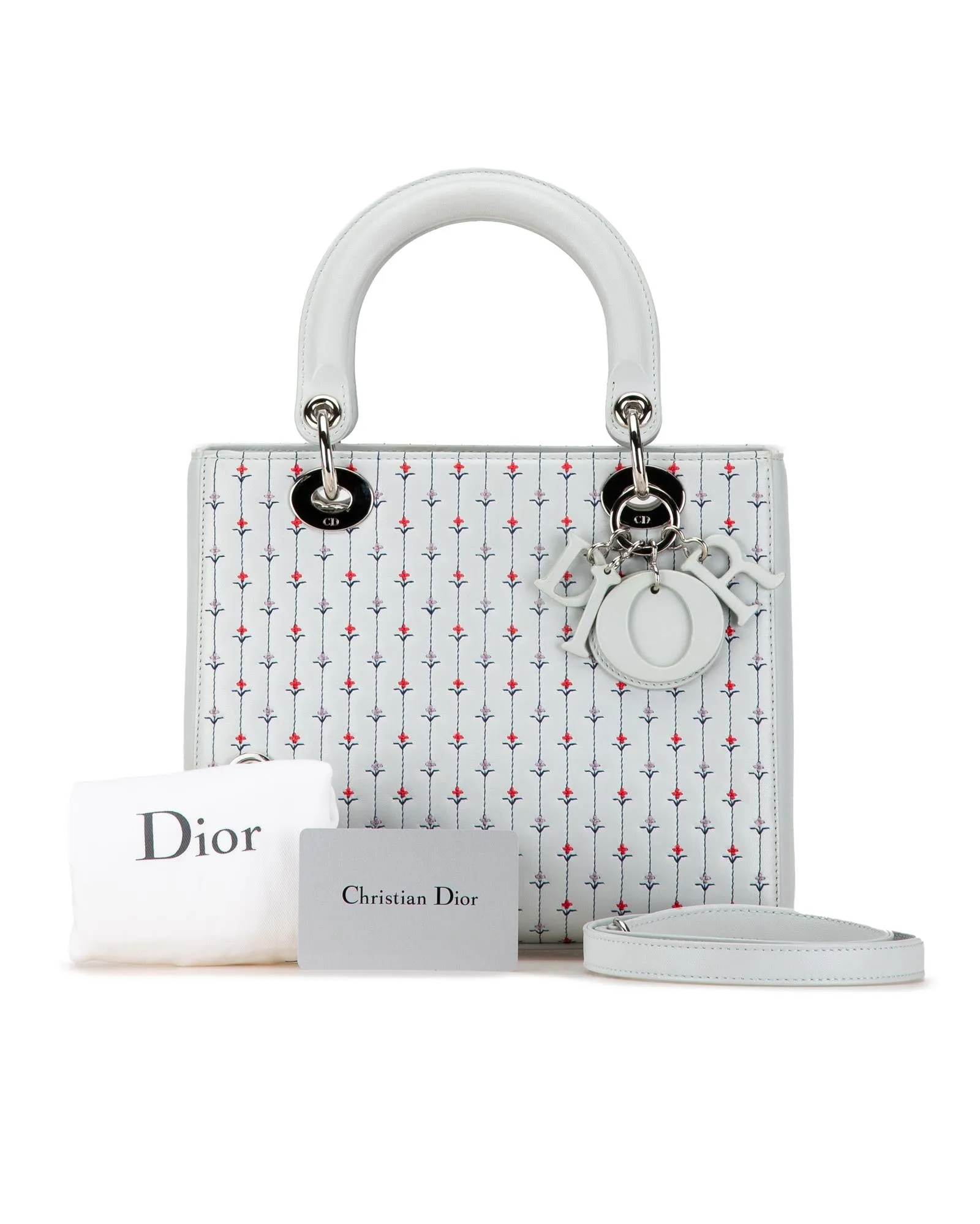 Embroidered Leather Lady Dior Satchel
