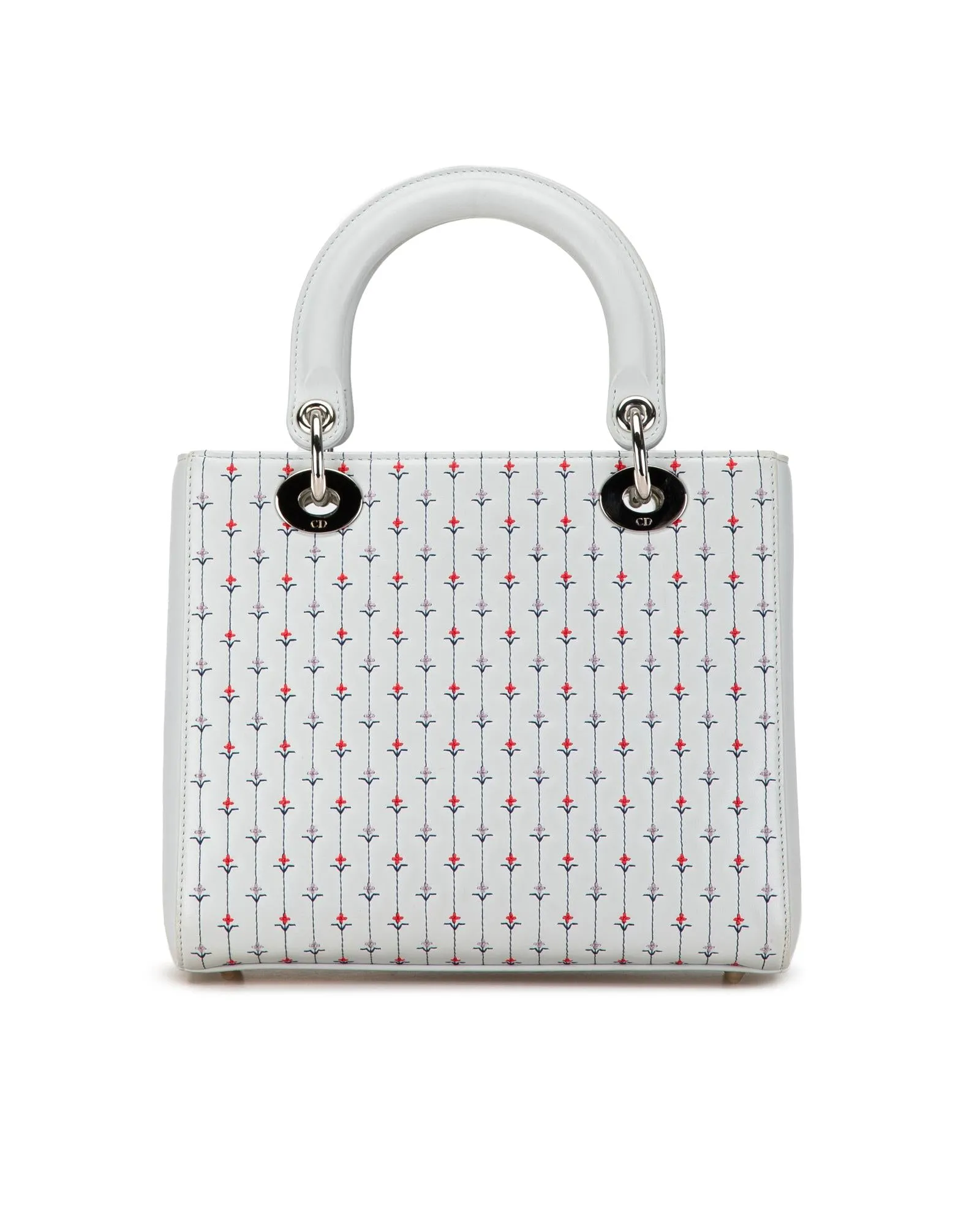 Embroidered Leather Lady Dior Satchel